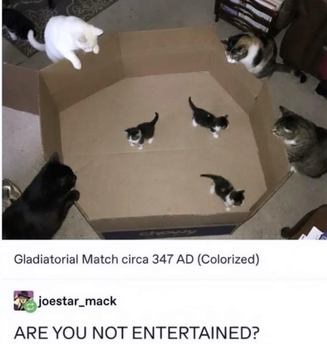 RespectfulMemes tweet picture