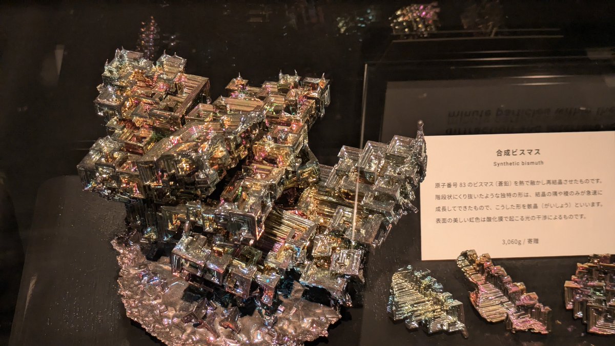 _mori_tan_'s tweet photo. かちょいい https://t.co/XCeOcg7TZA