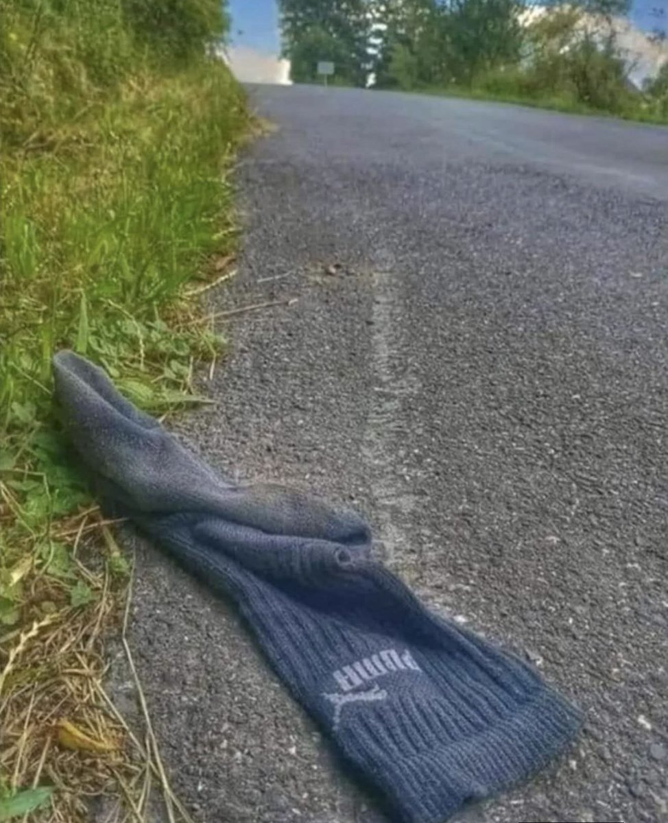 TheSaint1191's tweet photo. 🚨Uwaga ❗

Koniec poszukiwania PUMY w województwie mazowieckim.

Została znaleziona rozjechana na drodze pod Zielonką. https://t.co/2al6zBLnNH