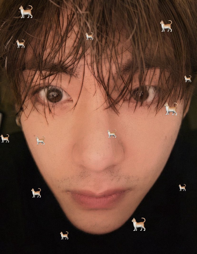 jkissthv's tweet photo. 🐈 ྀིྀི                                                               🐈‍⬛ ྀིྀི https://t.co/ndLgMHCptL