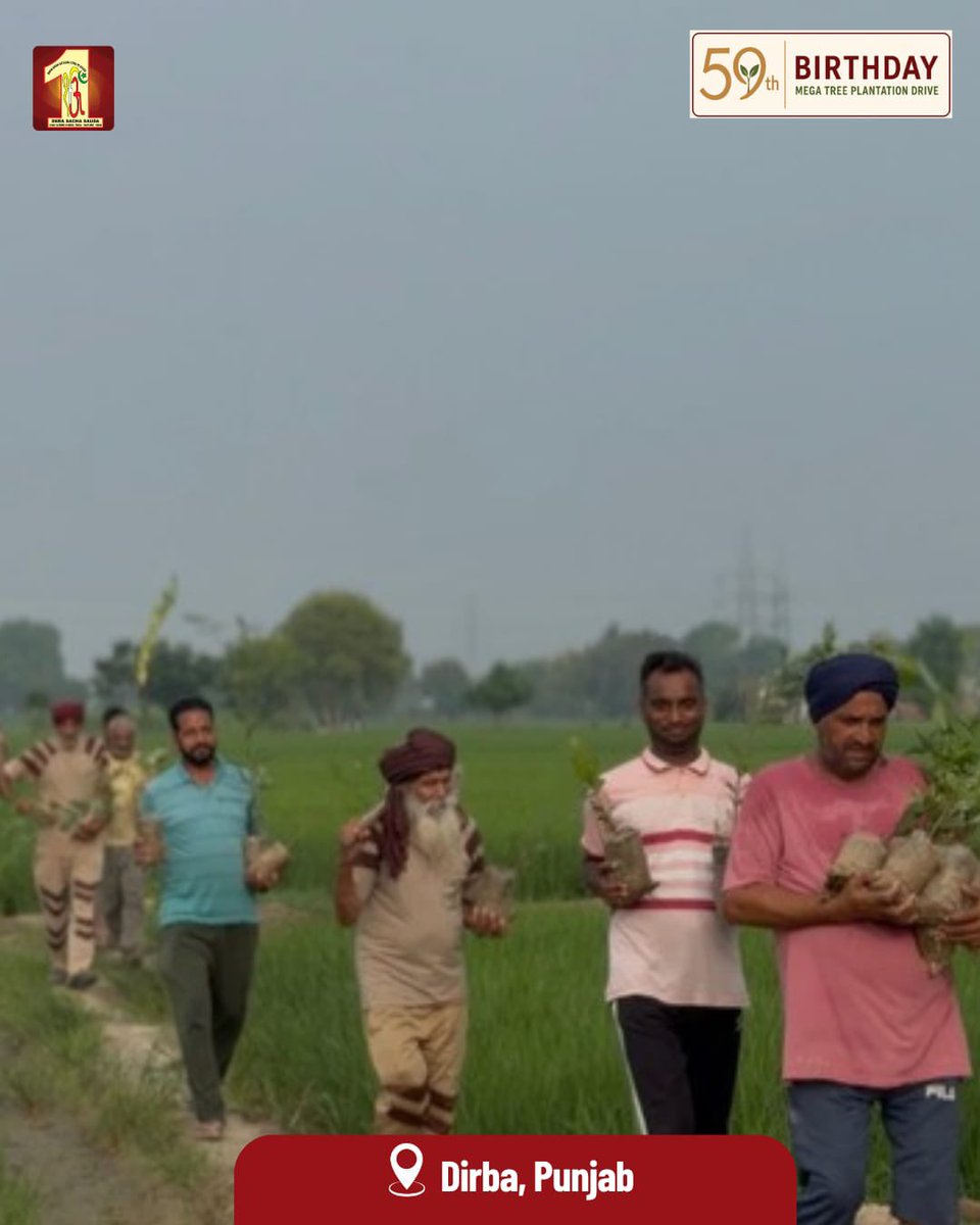 DSSNewsUpdates's tweet photo. When lakhs of hands come together for nature, the earth smiles. 🌱 Inspired by Saint Dr. MSG, volunteers celebrated his 59th Birthday with tree plantation and environmental service.

#MegaTreePlantationDrive #TreePlantation #SaintDrMSG #DeraSachaSauda #GreenGift 

[Mega Tree Plantation Drive, Tree Plantation, Saint Dr MSG, Dera Sacha Sauda, Ram rahim, Gurmeet Ram Rahim Singh, Plant Trees Save Lives, Save Environment, Green Earth, Go Green, Humanity First, Nature Campaign]