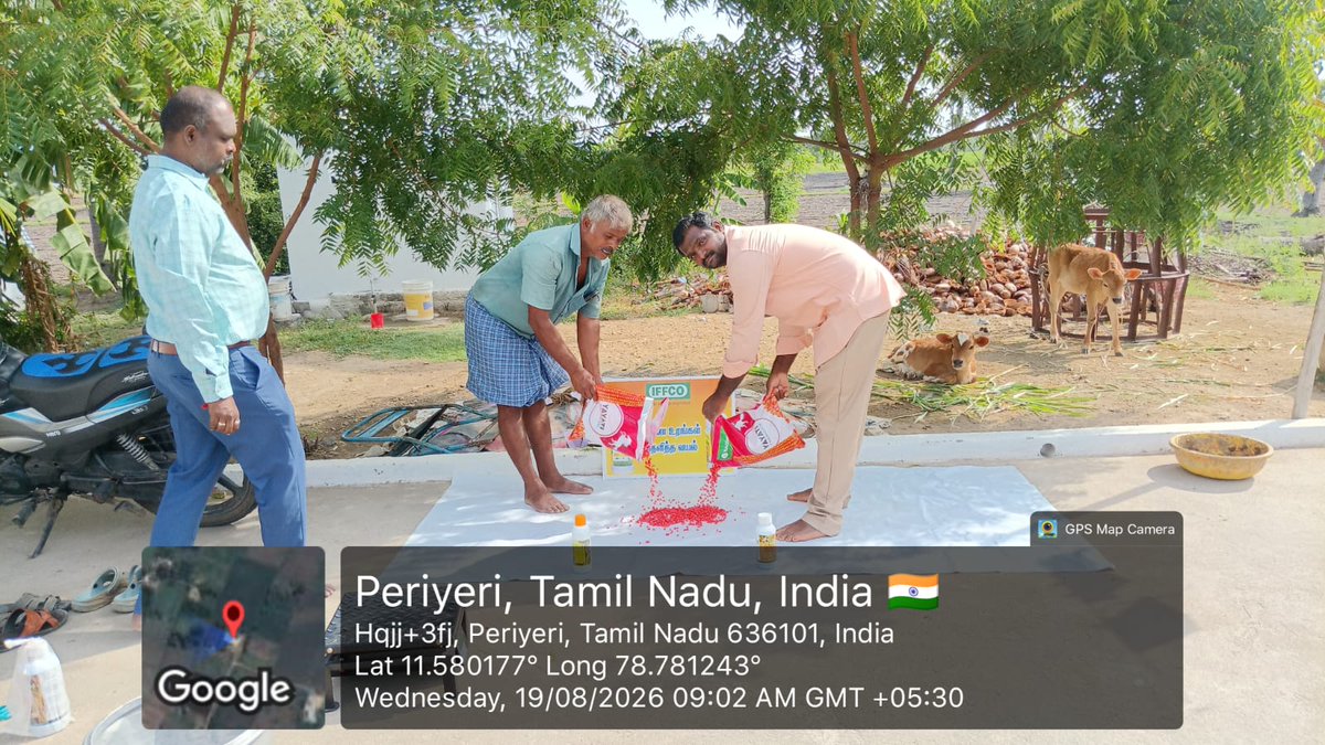 IFFCOTamilNadu's tweet photo. #Salem சேலம் மாவட்டம் பெரியேரியில் முன்னோடி விவசாயி நிலத்தில், மக்காச்சோளத்தில் #Seedtreatment விதை நேர்த்தி #Nano DAP மற்றும் #NPK Consortia பயன்படுத்தி  செயல்விளக்கம் அளிக்கப்பட்டது. விவசாயிகள் ஆர்வத்துடன் பங்கேற்று பயனடைந்தனர்.

#ProgressiveFarmer #SeedTreatment #NanoDAP #NPKConsortia #Maize #Periyeri #முன்னோடிவிவசாயி @IFFCO_Coop
@KiritkrJPatel @iffcoyogendra @S_Kulshreshtha1 @TarunenduSingh @AgriGoI @BharatUrvarak @doa_tn @tnhorticulture @Tanfed_CC1959