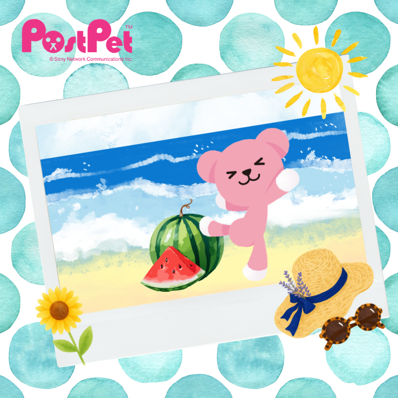モモ(PostPet)🎀【公式】 (@PostPetPress) / Posts / X
