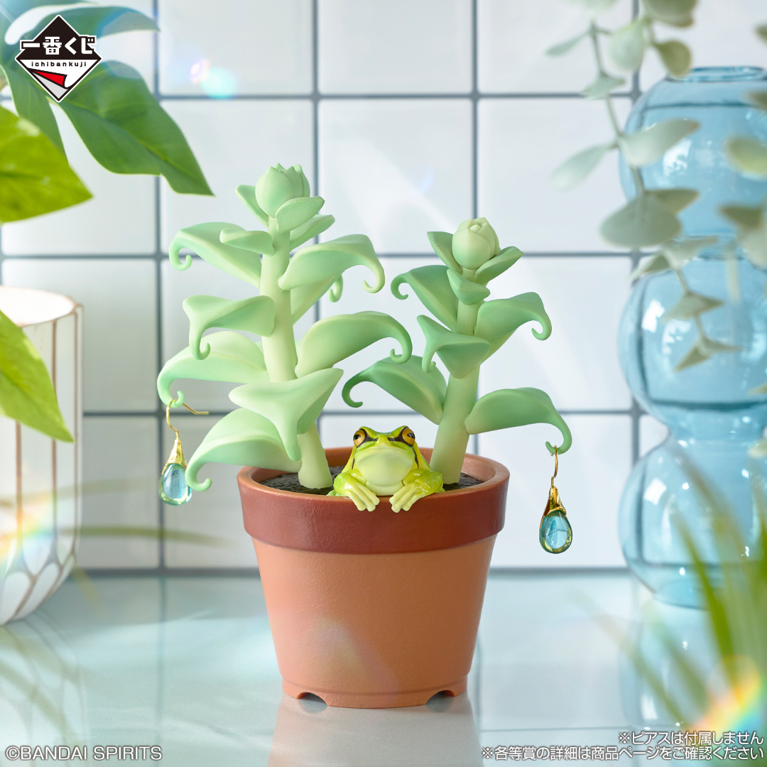 ichibanKUJI's tweet photo. 🦎どこで買えるかチェックしてね🐍

一番くじ 爬虫類＆両生類～Tiny Friends～vol.3
🗓️8月29日(土)より順次発売予定🐸
📍ローソン、書店、ホビーショップ、一番くじ公式ショップ、一部のドラッグストア、一番くじONLINE など

🛒発売前にお近くの店舗を検索👇🔍
🔗https://t.co/VmnXyXz6Ag

🐢商品詳細
🔗https://t.co/688X8Pgy5M

#爬虫類 #両生類 #フトアゴヒゲトカゲ #ボールパイソン #一番くじ
