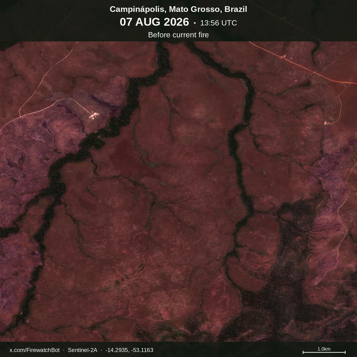 firewatchbot's tweet photo. Fire detected from #Sentinel2

🗺 Place: Campinápolis, Mato Grosso, #Brazil
🕛 Date: 2026/08/17 13:56UTC

View location: https://t.co/TGMFUHR1HR (-14.2935, -53.1163) https://t.co/JcVs7DsTd3