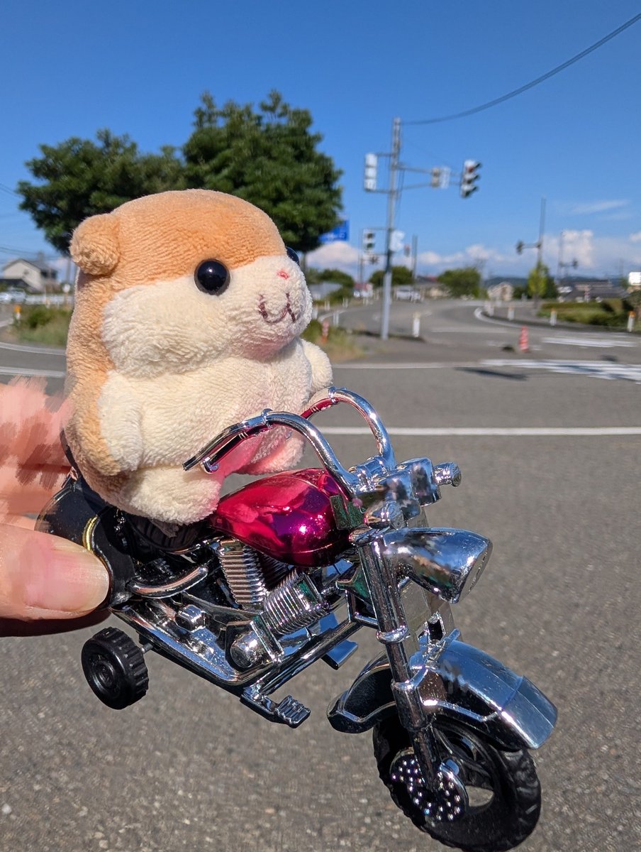 meru__hamu's tweet photo. おまたせ

#バイクの日 https://t.co/ukwQj155zC