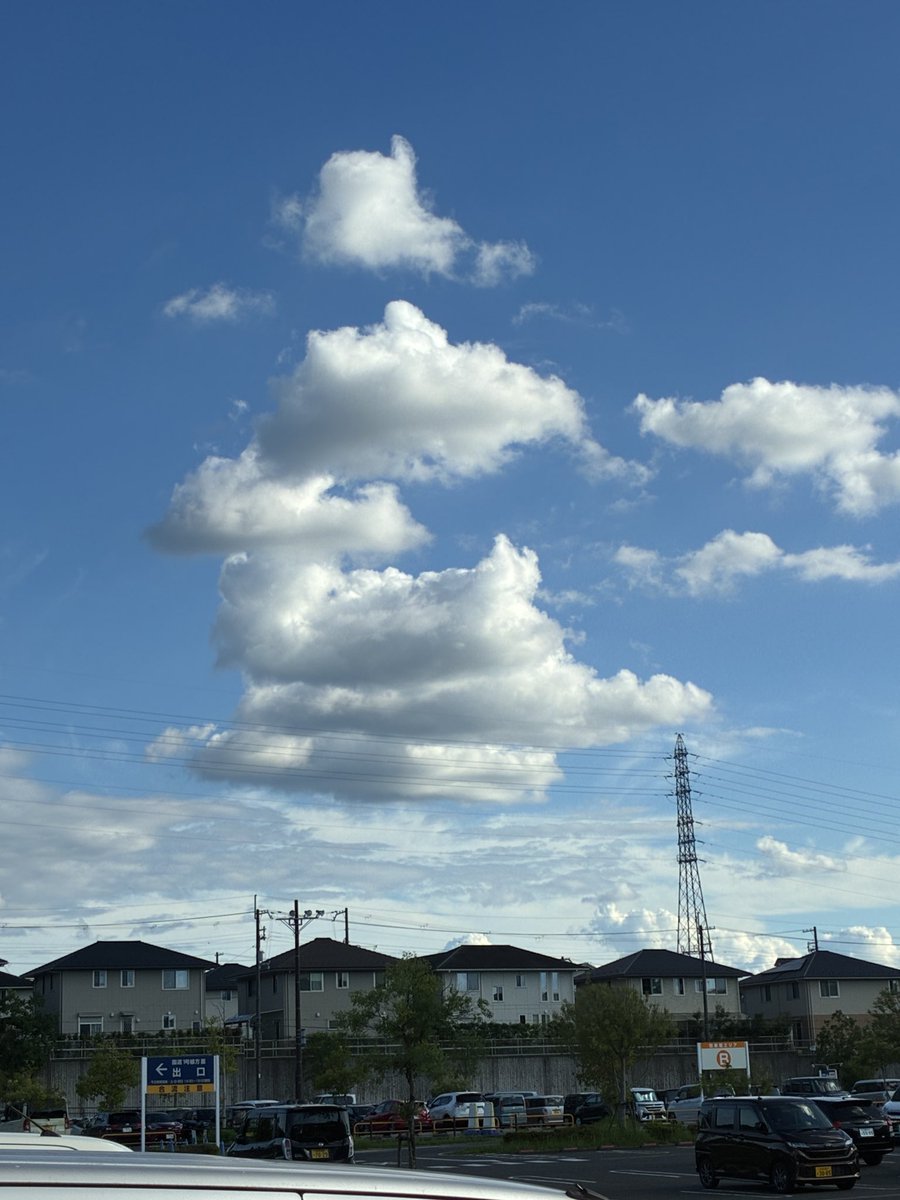 tako_rappa's tweet photo. 上空のみ強い風が吹いたなら
きっと君はうんこになれる。 https://t.co/SAAHD9uDrR