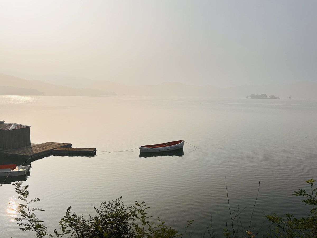HiSams_'s tweet photo. A photograph freezes a moment in time, but keeps its feeling alive.

Time moves on, moments pass, but one click can take you back to exactly how it felt. 📸✨

Happy World Photography Day! ❤️
Quote with some beautiful clicks. 📷

#WorldPhotographyDay https://t.co/3sO8VoSc4A