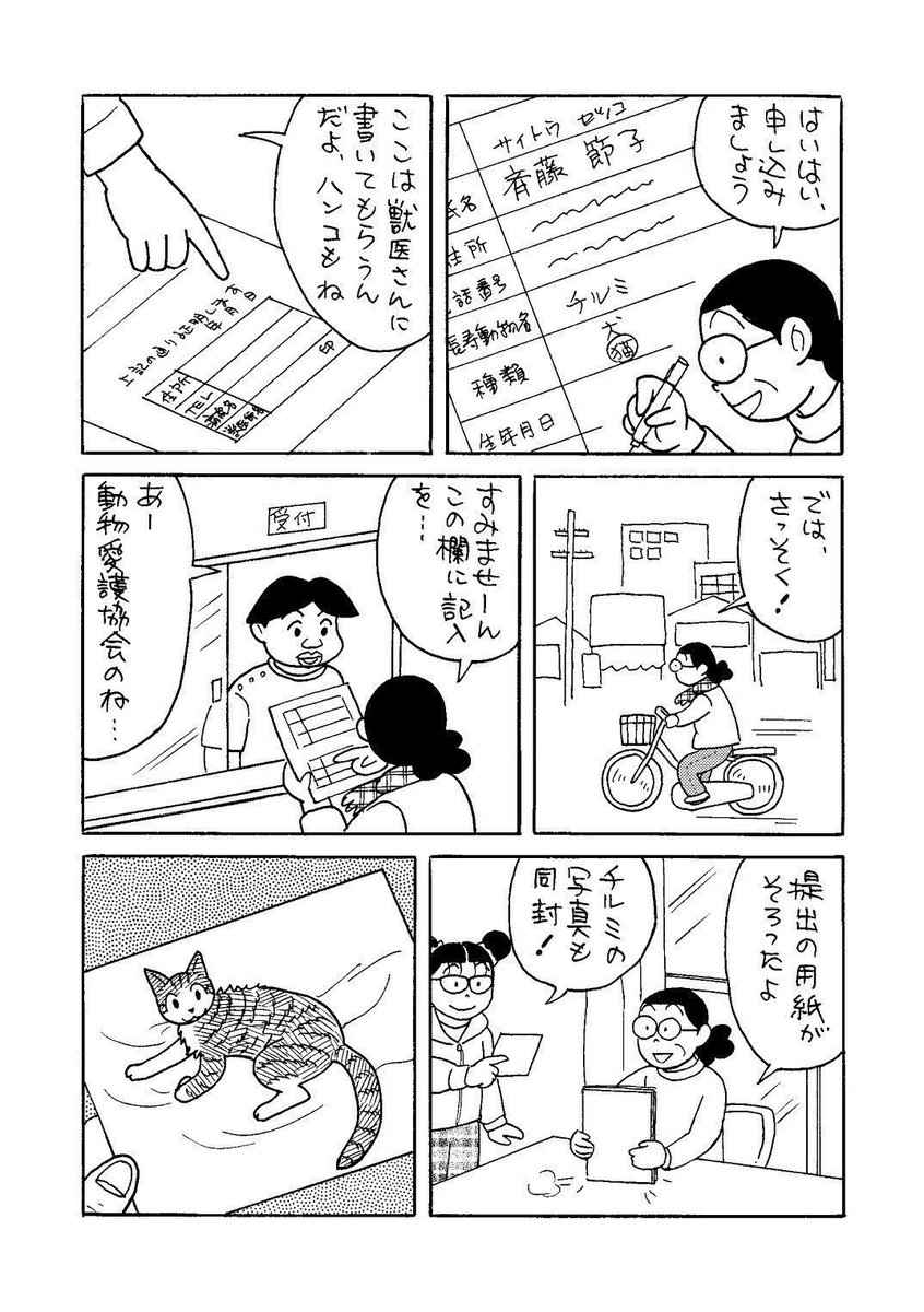 Ssan_family's tweet photo. 【既刊本紹介】

『ご長寿！チルミさん』《合同》
我が家の長寿記録達成の記念に表彰状を申請したエピソード中心に高齢猫の日々のお話。
元気で長生きしてくれたチルミの記念本、ぜひご覧ください。

(1/2)
https://t.co/SfGFTJOvoe… https://t.co/xV3RNbIBDu