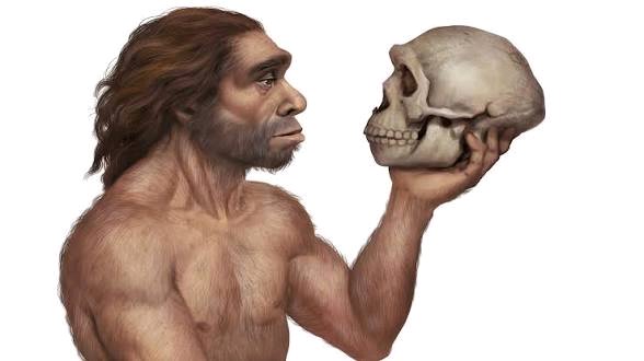 Sugarantagonist's tweet photo. Your ancestors had a dentition free of plaque. Sugar fed plaque causing bacteria (Streptococcus mutans).

Your ancestors never had cardiovascular diseases. It is the leading cause of mortality in the world. Sugar and refined carbs are the trigger. https://t.co/RBFaRmoVv5