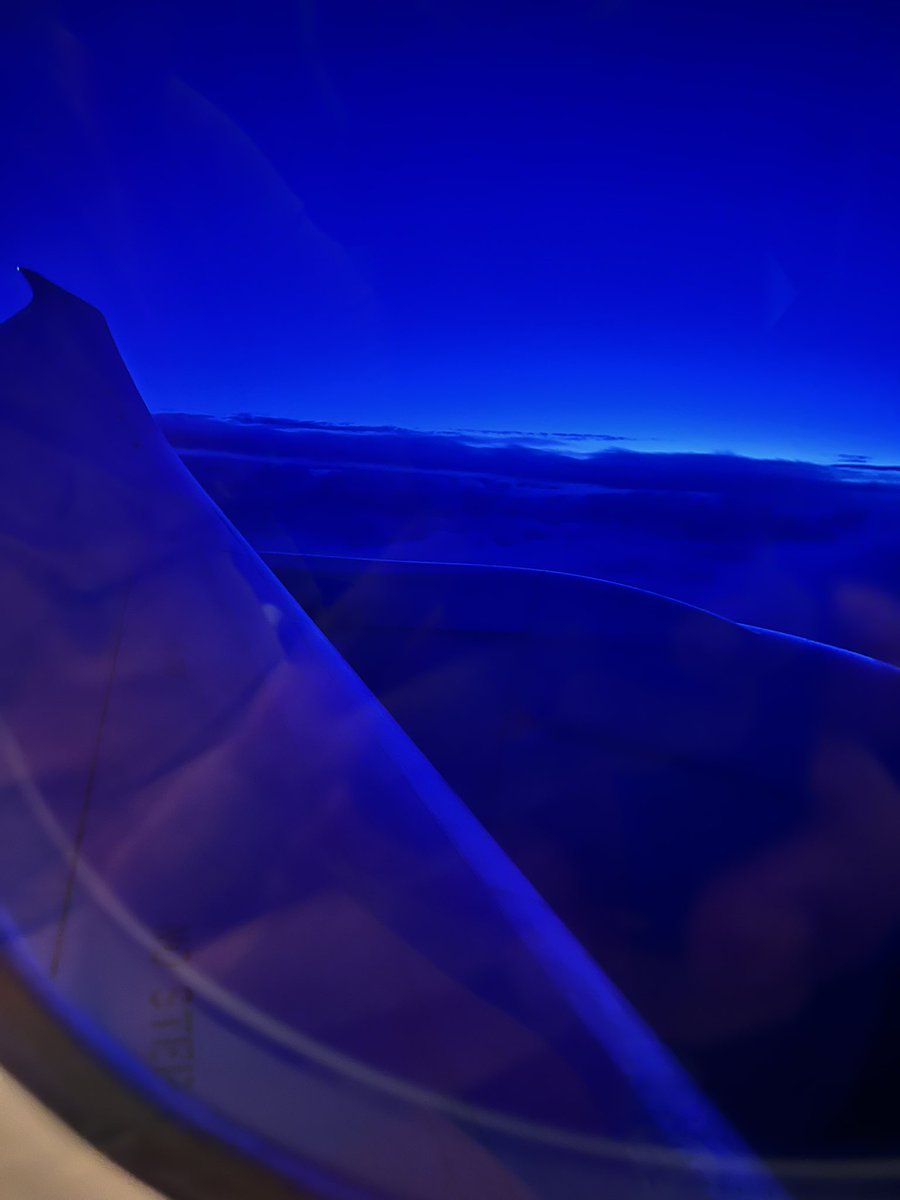 roninsharkIRL's tweet photo. There’s a shark in the water in Germany >:3 https://t.co/zrmgm2MfO6