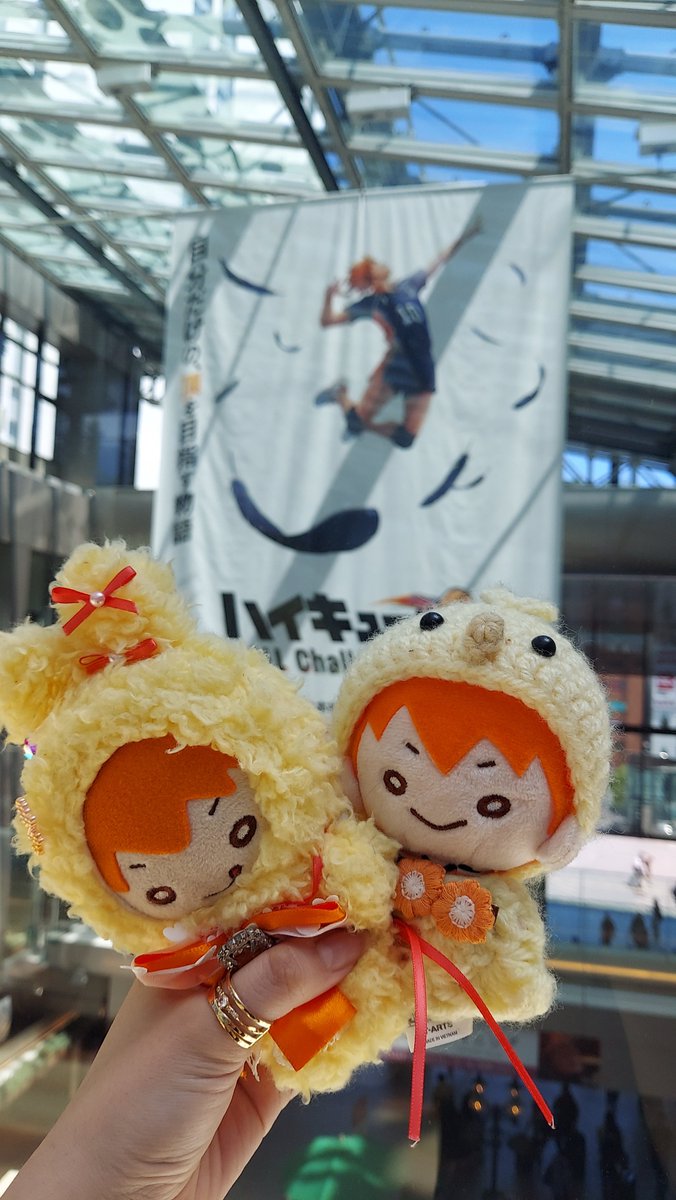 Lv_30__'s tweet photo. ハイキューの日にたくさんの日向翔陽くんに会えて幸せ〜🏐🧡
 #ハイキューの日  #819の日2026 https://t.co/mKf7fhgpe1