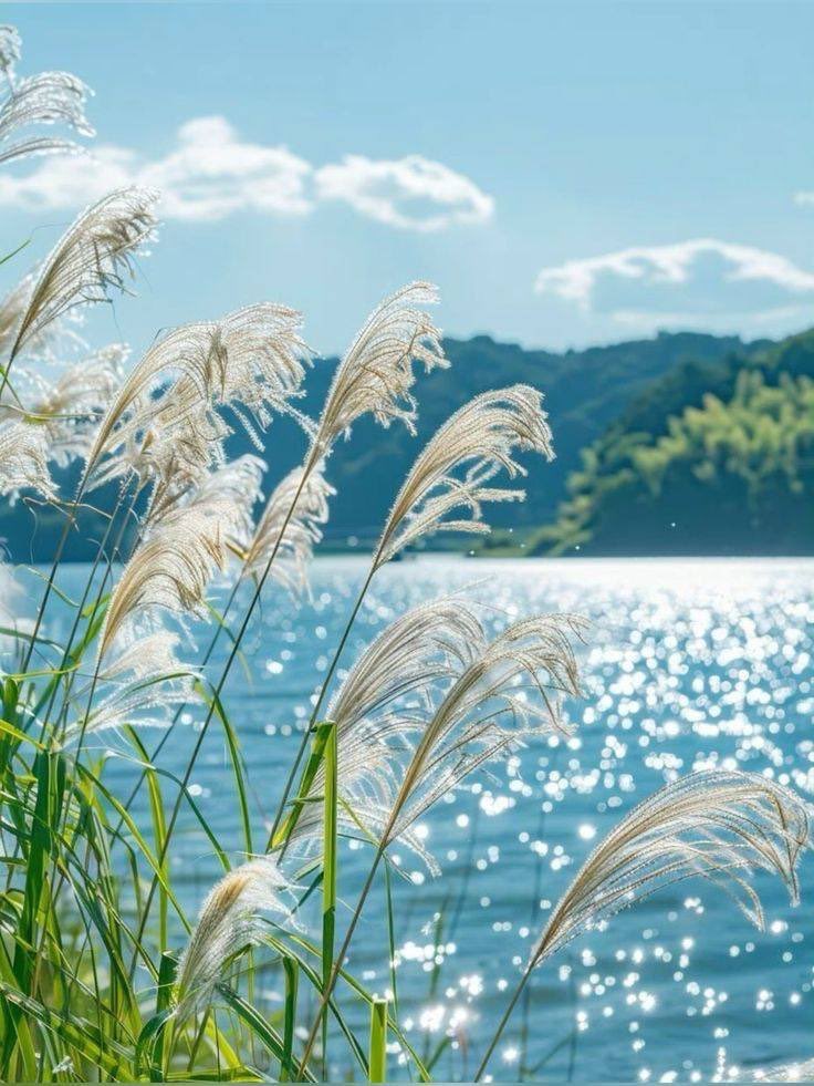 Daisyaurax's tweet photo. the calmest shade of blue https://t.co/Ev5twEUHp8