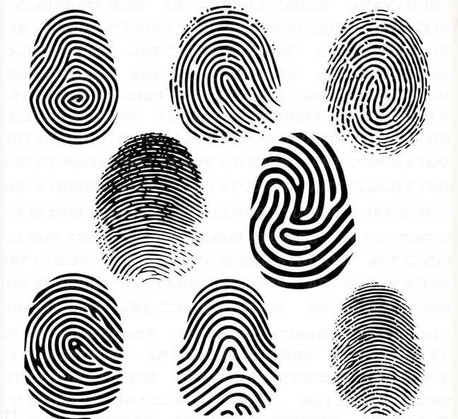 b_brother2025's tweet photo. Altijd al meer van iemand willen weten, of zijn identiteit willen onthullen? dit is een geweldige website, voer naam in en voilà https://t.co/caz6gZbCok 🎯🎯 #wieishet #waarishet #profielfoto #emailadres #wayback finds every account linked to an email or username in seconds.. https://t.co/KWhKiHTnpH