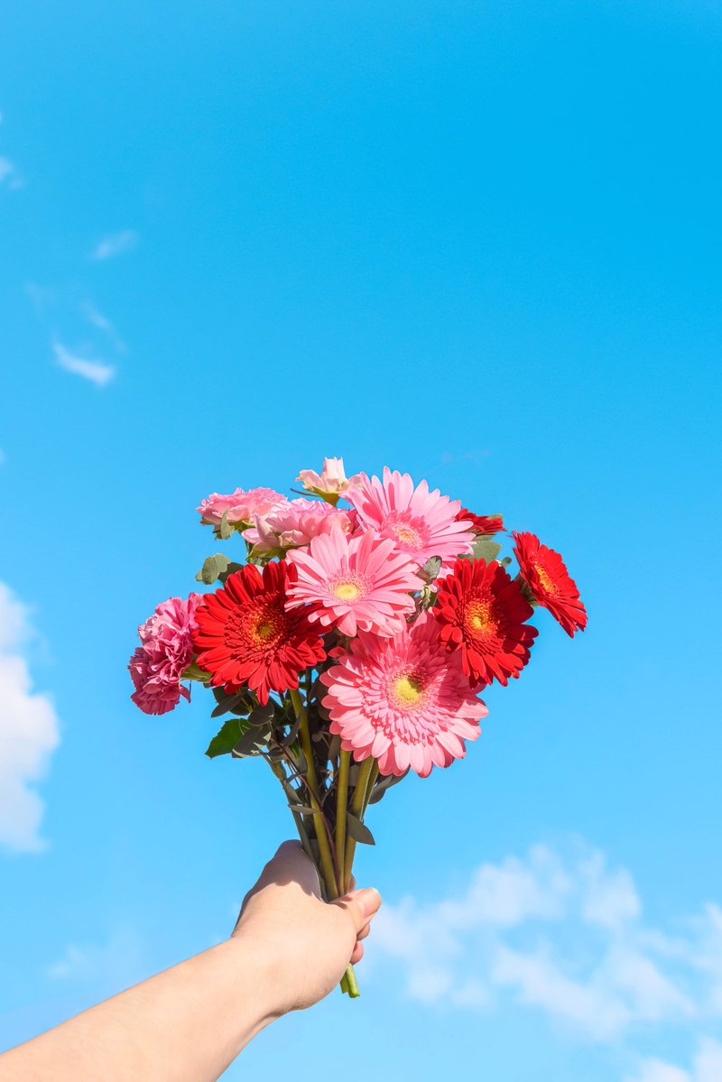 Noah_photobook's tweet photo. お花に癒されたい人に届きますように。 https://t.co/jnhS34cK80