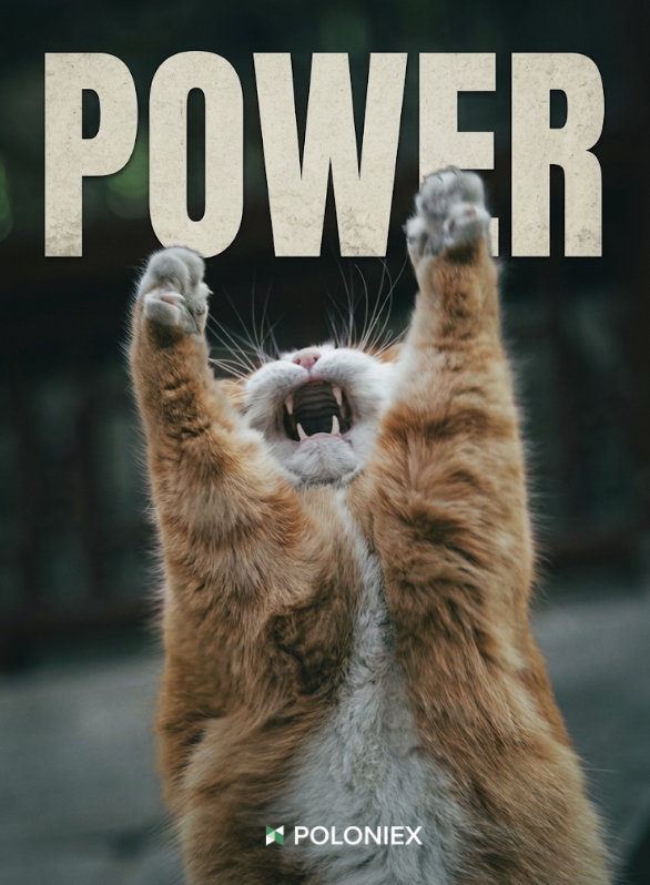 Poloniex's tweet photo. POWER UP. ⚡️

The market can test your patience.
The charts can test your conviction.
But we’re still here. 🐱📈 https://t.co/F45Cxw7idD
