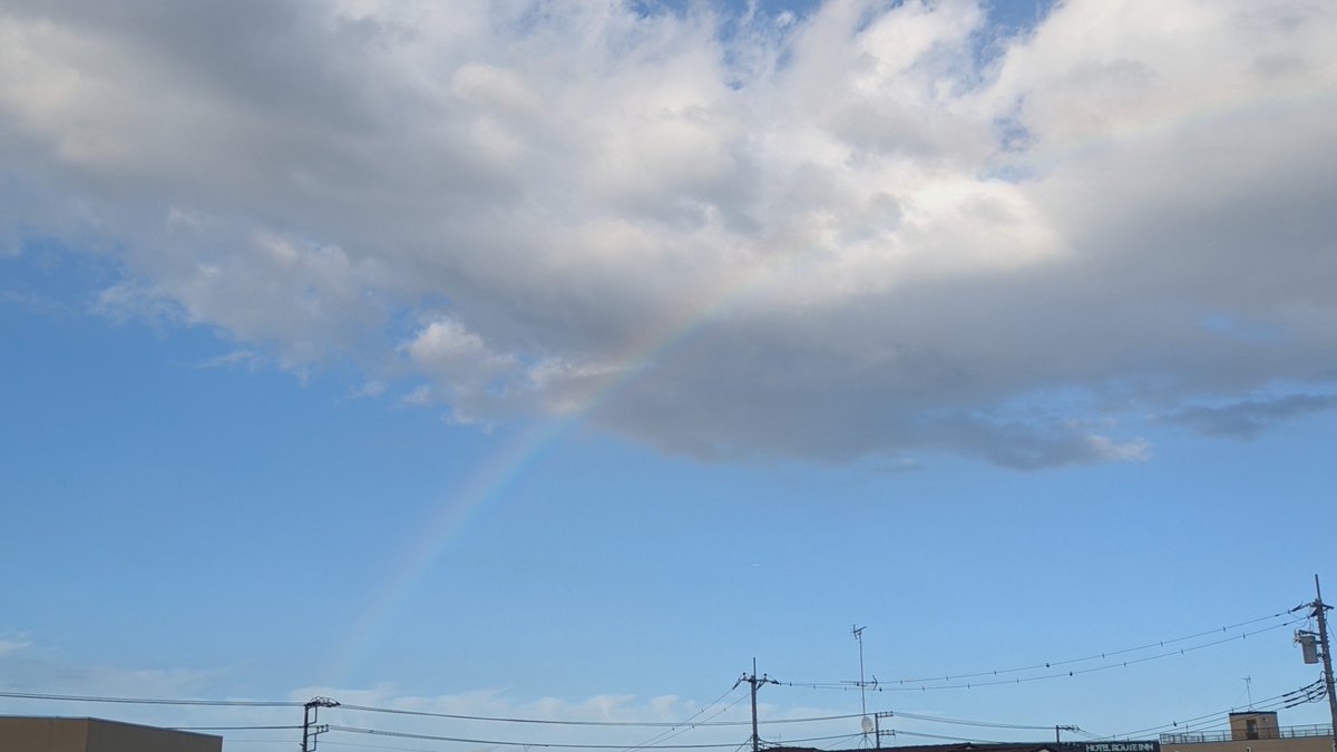 N_Kcell's tweet photo. 新しいアスファルトの雨上がりは空が反射してとても綺麗
水溜りに映り込んだ空は潜り込めそうな気配さえする
虹が見えたら虹の橋を渡ったあの子たちに会えた気がして

そして吸い込んだ空気は車のエアコンの風だから美しくもなんともないのだけど

雨上がりがとても好き☺️ https://t.co/DpNUI8pm1a