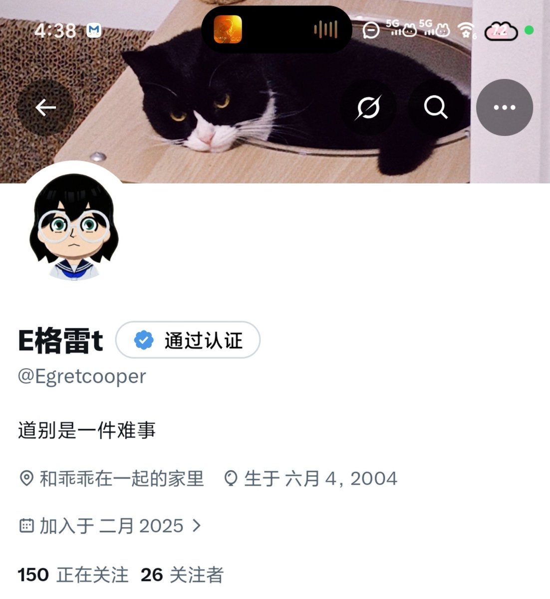 Egretcooper's tweet photo. 以防你们不知道，我把背景图换成了我家的猫咪，头像是我的Mii形象 https://t.co/4iuoPx1wqA