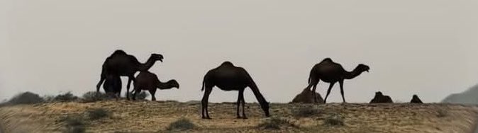 v80r_1's tweet photo. والله إن المعطي اللّٰه والقبول من اللّٰه
    والتصنع لا دخل في حاجةٍ خربها https://t.co/G5PXNRPTrT