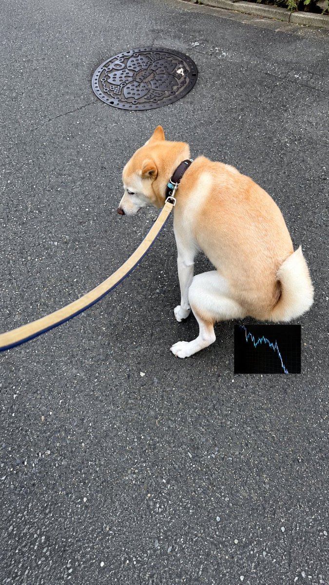 Bullbear_Chart's tweet photo. あっ https://t.co/6FB4IoHjNA