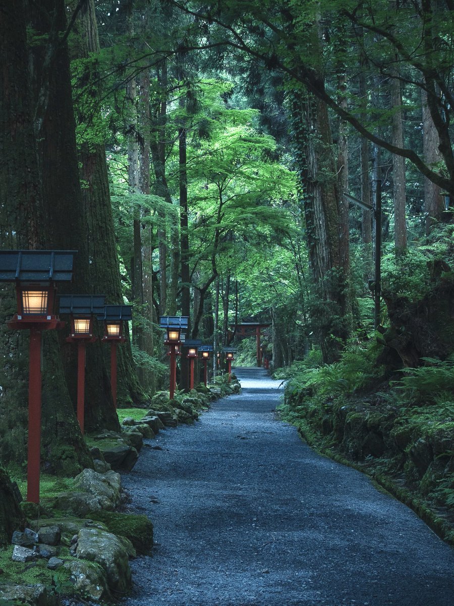 3m1ek's tweet photo. 貴船神社の奥にはディープな世界が広がっている https://t.co/BuNoKzLNxg