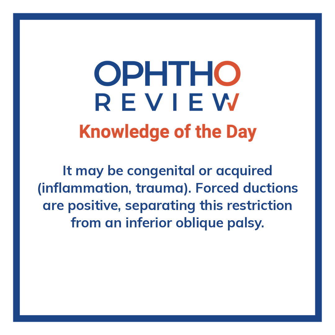 ophthoreview's tweet photo. Testing a child's eye movements

#ophthoreview #ophthalmology #ophtho #ophthalmologyresidency #ophthalmologist #surgicaleducation #medicaleducation #meded #surgery #medicalstudent #medicine #medicalschool #resident #residency https://t.co/wjvodbIcA7