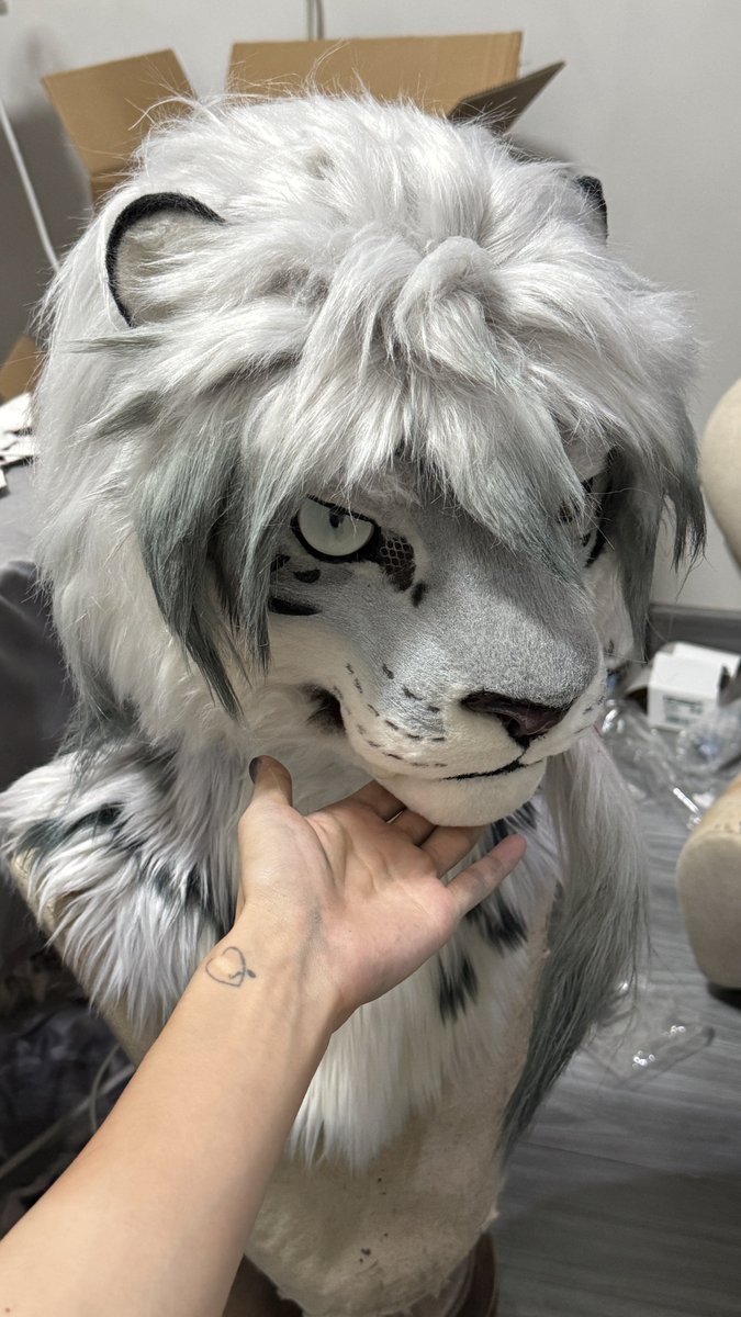 Qiuqiu1290's tweet photo. 🐯100%
#fursuit #furry https://t.co/UY0YhSgGIN