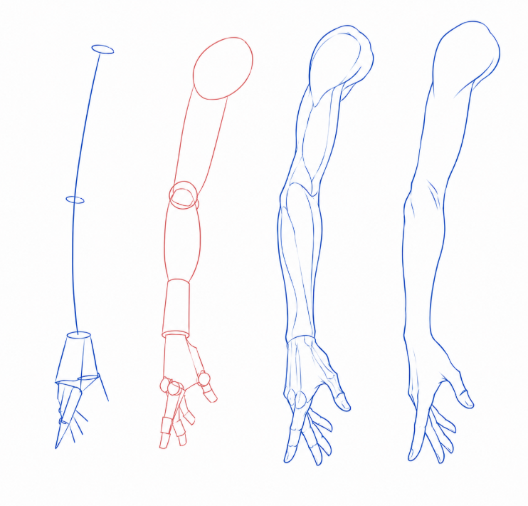 BearDesignX's tweet photo. I bet you won't be able to resist drawing arms after this. https://t.co/wwBTakZokw