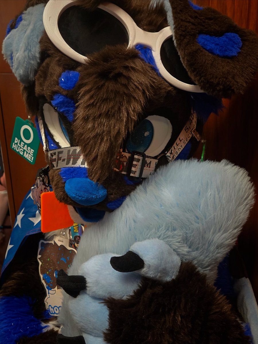 HoshikoOfficial's tweet photo. HOW TO FIND ME AT MEGAPLEX!

DO✅✅
HUG ME
TAKE PHOTOS WITH ME
GIVE ME HEAD PATS
BOOP ME
GIVE ME STICKERS

DON’T❌❌
GRAB MY TAIL (unless you have my permission)
PICKING ME UP FROM BEHIND
GRABBING MY FLAG(I’ll be wearing one)

( I have a blue helmet if I’m in my motorcycle gear) https://t.co/dMmHKlUefN