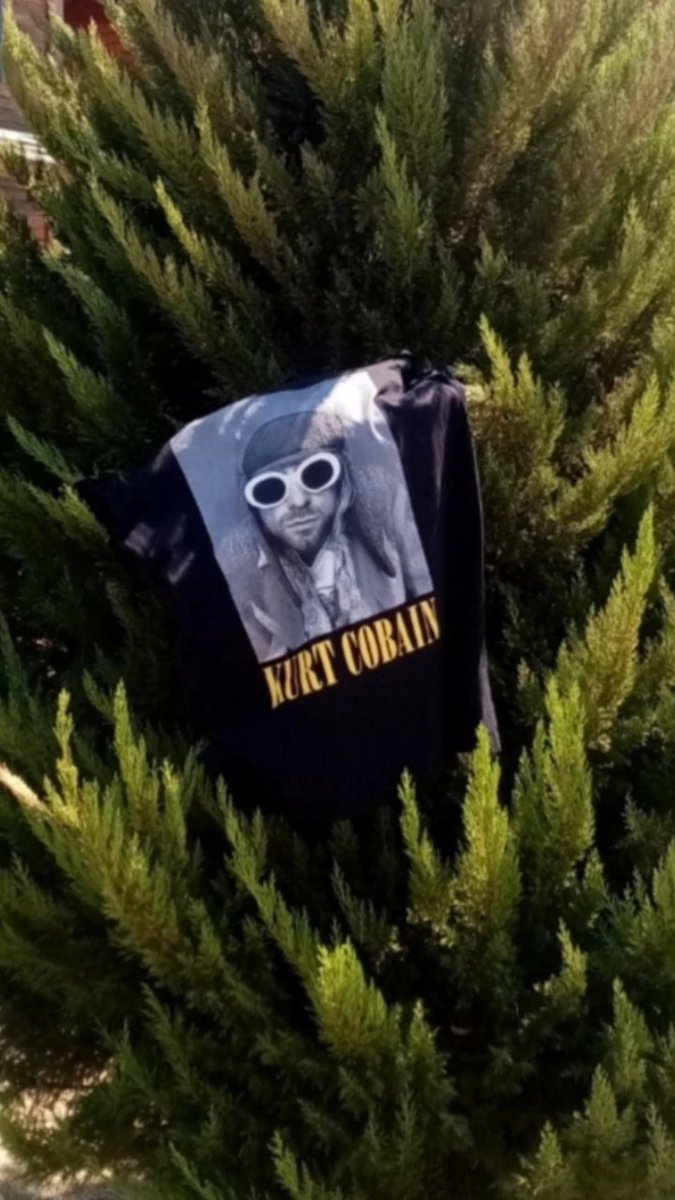 serdaraydin70's tweet photo. Bir çam ağacında kurt cobain'i gördüm, bana bakıyordu, rüzgar bir şarkı söylüyordu, bu gerçekti... 🤘🤘🤘 Foto by Serdar https://t.co/JXW2ckIoRn