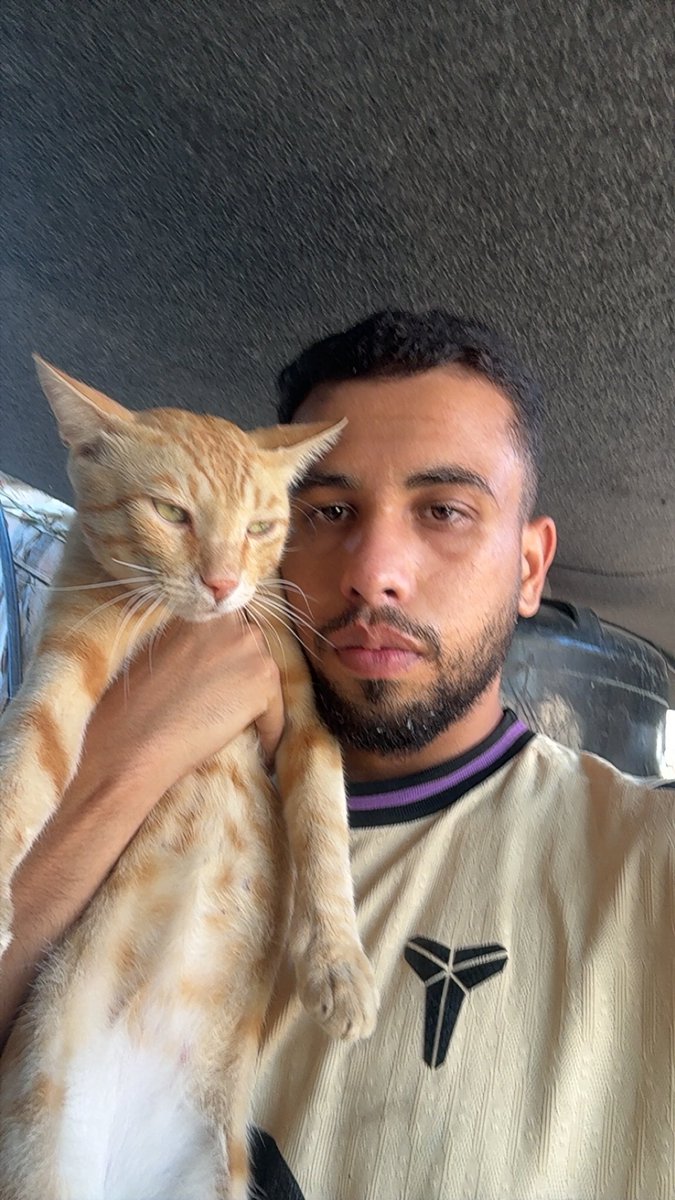 Mo7mmd30's tweet photo. Only for those who care about us: my cats and I are still alive in Gaza.🇵🇸 https://t.co/BydkH1buUn