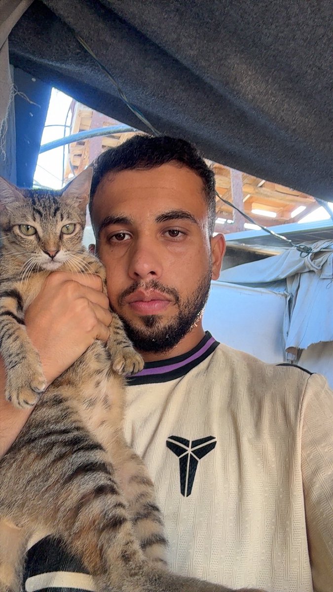 Mo7mmd30's tweet photo. Only for those who care about us: my cats and I are still alive in Gaza.🇵🇸 https://t.co/BydkH1buUn