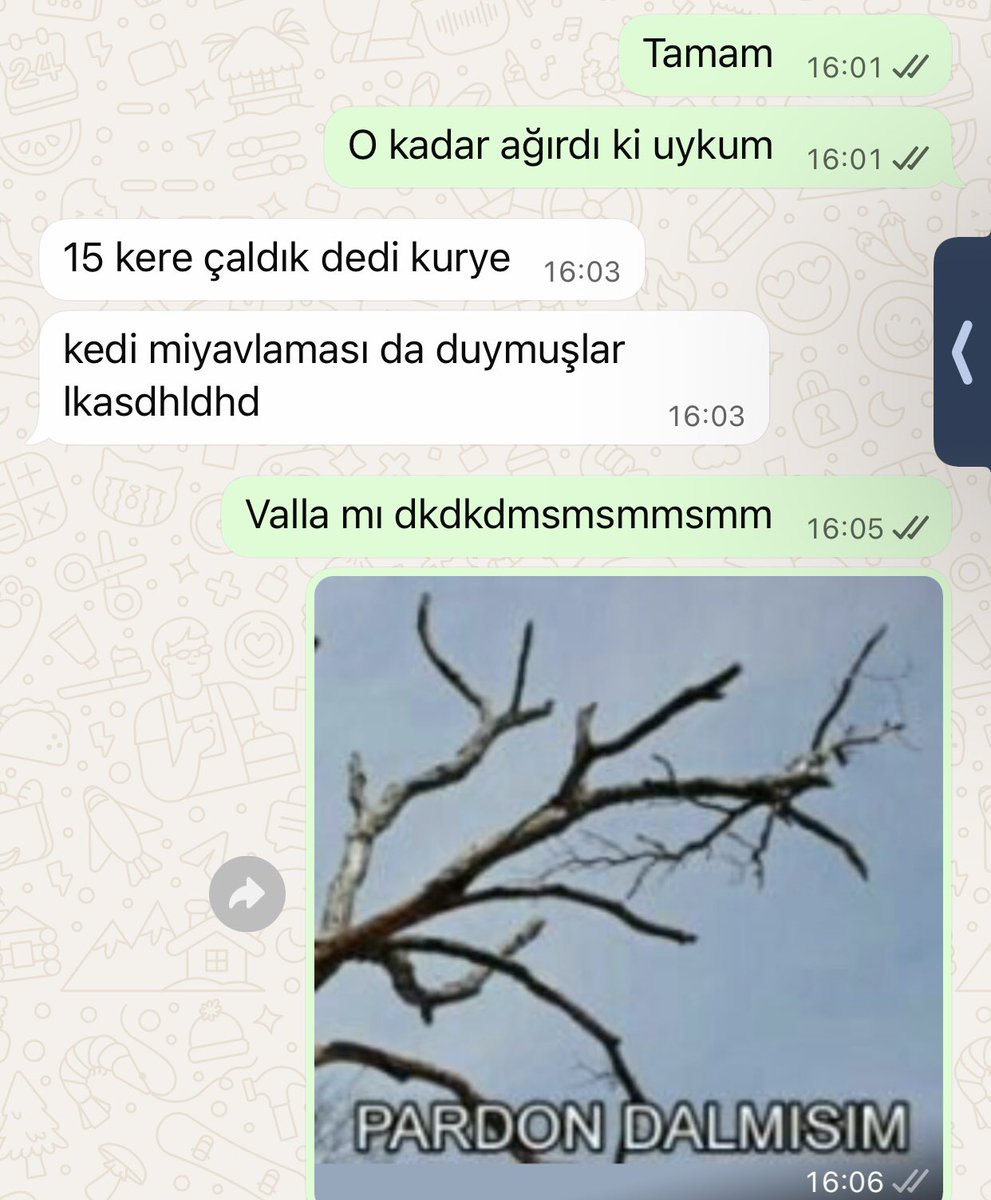 faunafayes's tweet photo. Biraz dalmışım… https://t.co/JGiGJlJzKd