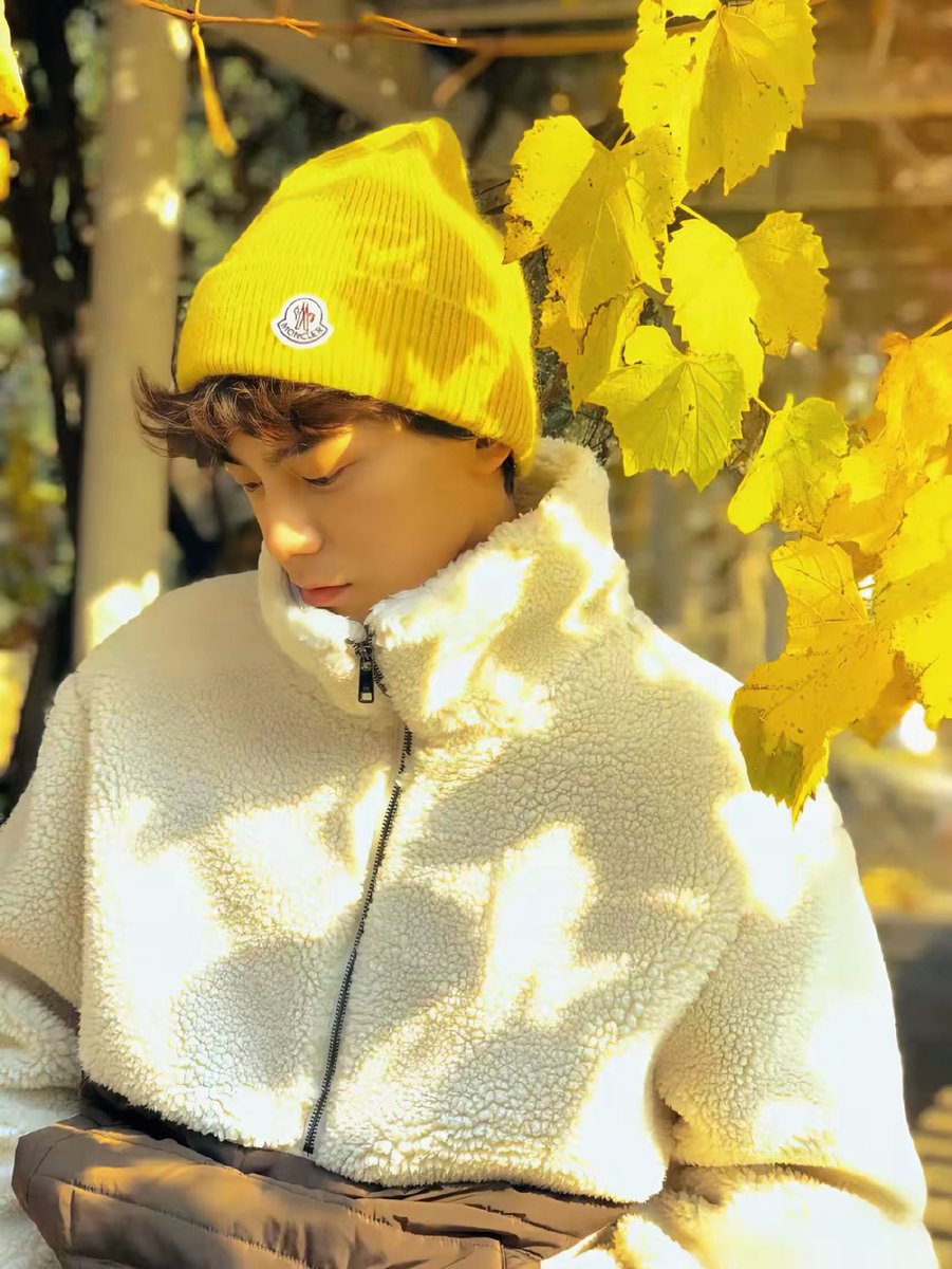 BerniceStewar13's tweet photo. Sunny autumn morning with golden leaves crunching under my boots—perfect for a quick coffee walk!， https://t.co/uqye4rpsNw