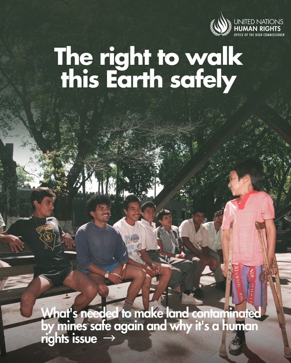 UNHumanRights's tweet photo. Landmines can remain deadly long after conflicts end, threatening lives, livelihoods and the right to live in safety and dignity.

https://t.co/cavyGa5wFw https://t.co/Fqo4LnyQ1T