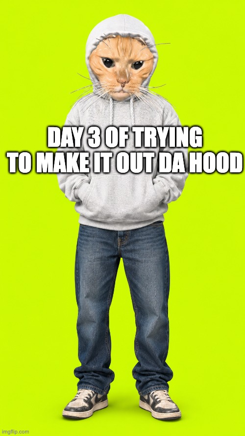 HoodCattoken's tweet photo. type shit https://t.co/Wxatmf6uR8