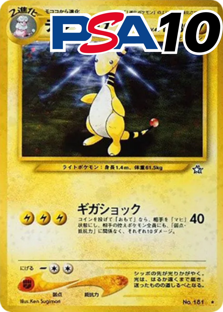 デンリュウ 旧裏 PSA10 ホロ デンリュウ 旧裏 PSA10 ホロ 【公式通販】