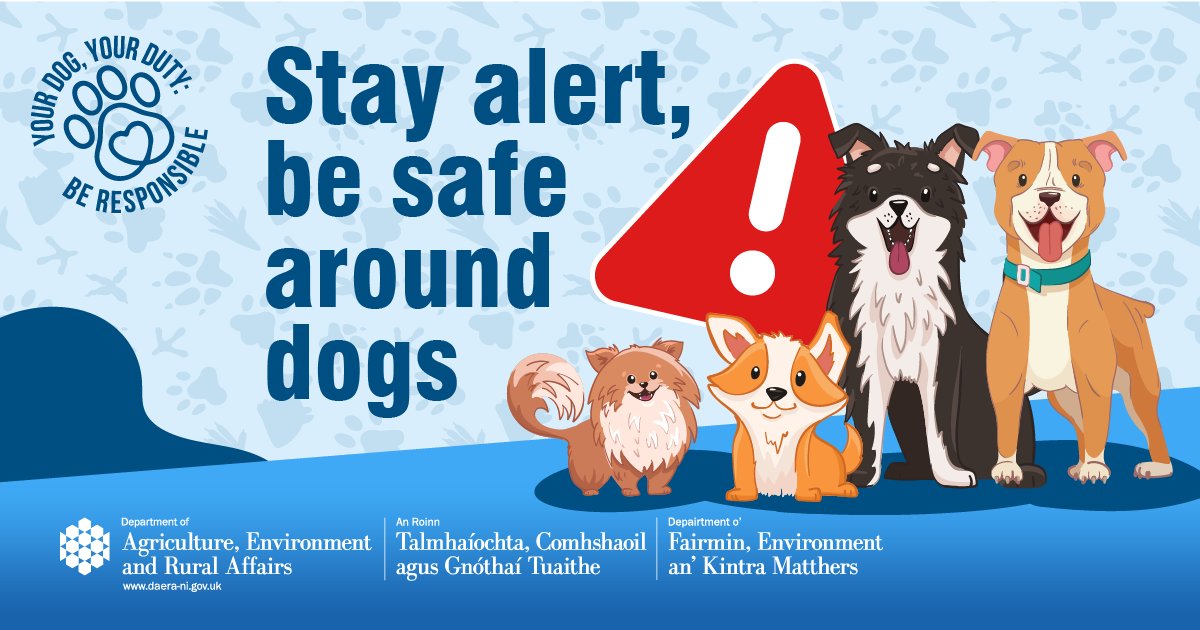 daera_ni's tweet photo. ⚠️This summer keep children safe around dogs!
👉Teach your child not to approach pets when they are eating, sleeping, unwell or tired
👁‍🗨Read your dogs body language
🐕Give your dog a safe space
🔗More at:  https://t.co/JmddU95j24 @belfastcc @lisburnccc @animalhealthni @infoVetNI https://t.co/CyvB7SnoLl