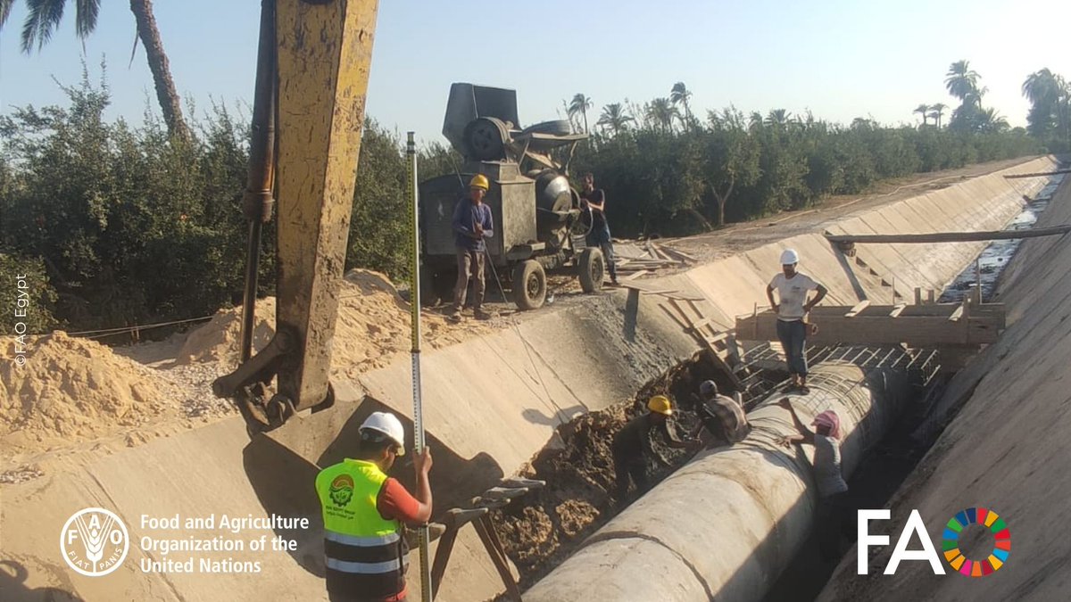 FAOEgypt's tweet photo. 🚜💧Field action is in full swing under @NLagriEgJor funded Project implemented by @FAO in cooperation with @MwriEgypt, on Modernization of Irrigation Techniques! Concrete pipe installation is underway, while foundations for new pumping stations are being prepared.🇪🇬🌱 https://t.co/6A0yJGlJz8