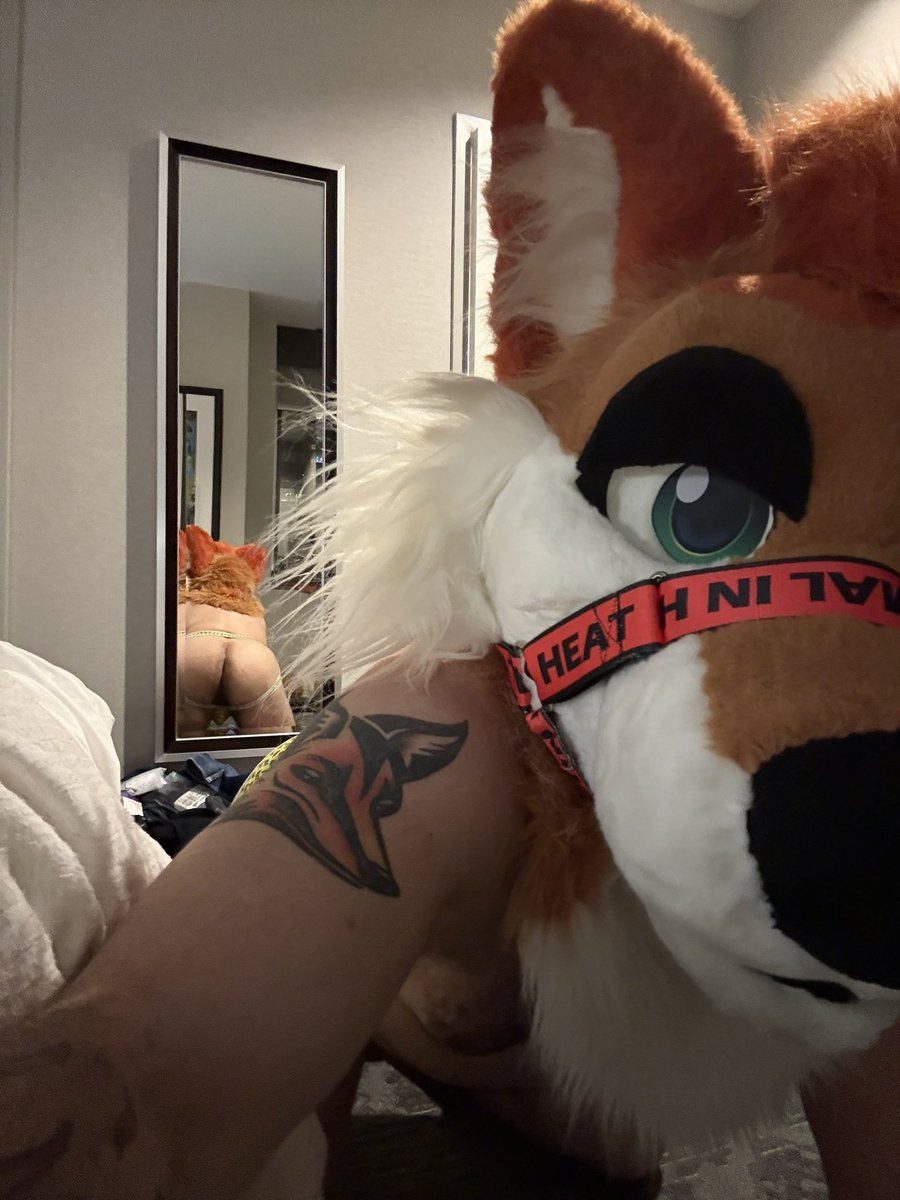 AfterbarkDaff's tweet photo. @zephyr_otter13 Woof~ https://t.co/lrJQoR93Z5