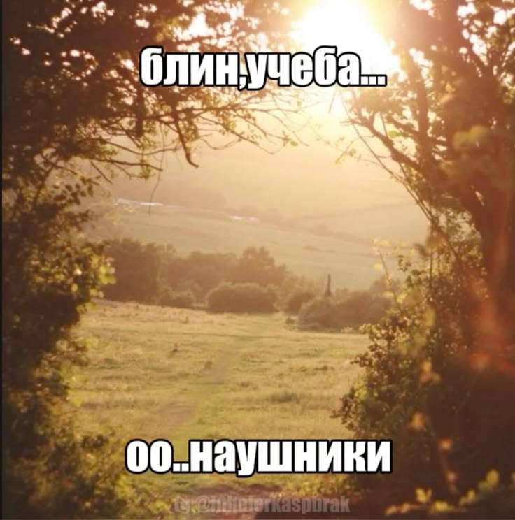 DarGladkaa's tweet photo. не хочу на учёбу... https://t.co/P94wbjMJmR