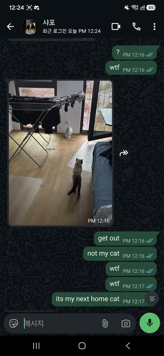 kyeahoo0813's tweet photo. @ChapauPointu brought the neighbor's cat inside our house
wtf https://t.co/pTE7VvhRrG