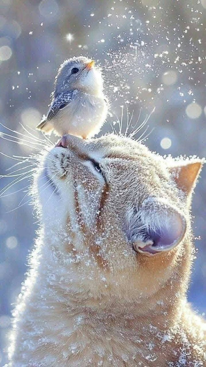 MHD_nasri's tweet photo. 推しの過去編で情緒ぐちゃぐちゃ https://t.co/rRbL8G6Smy