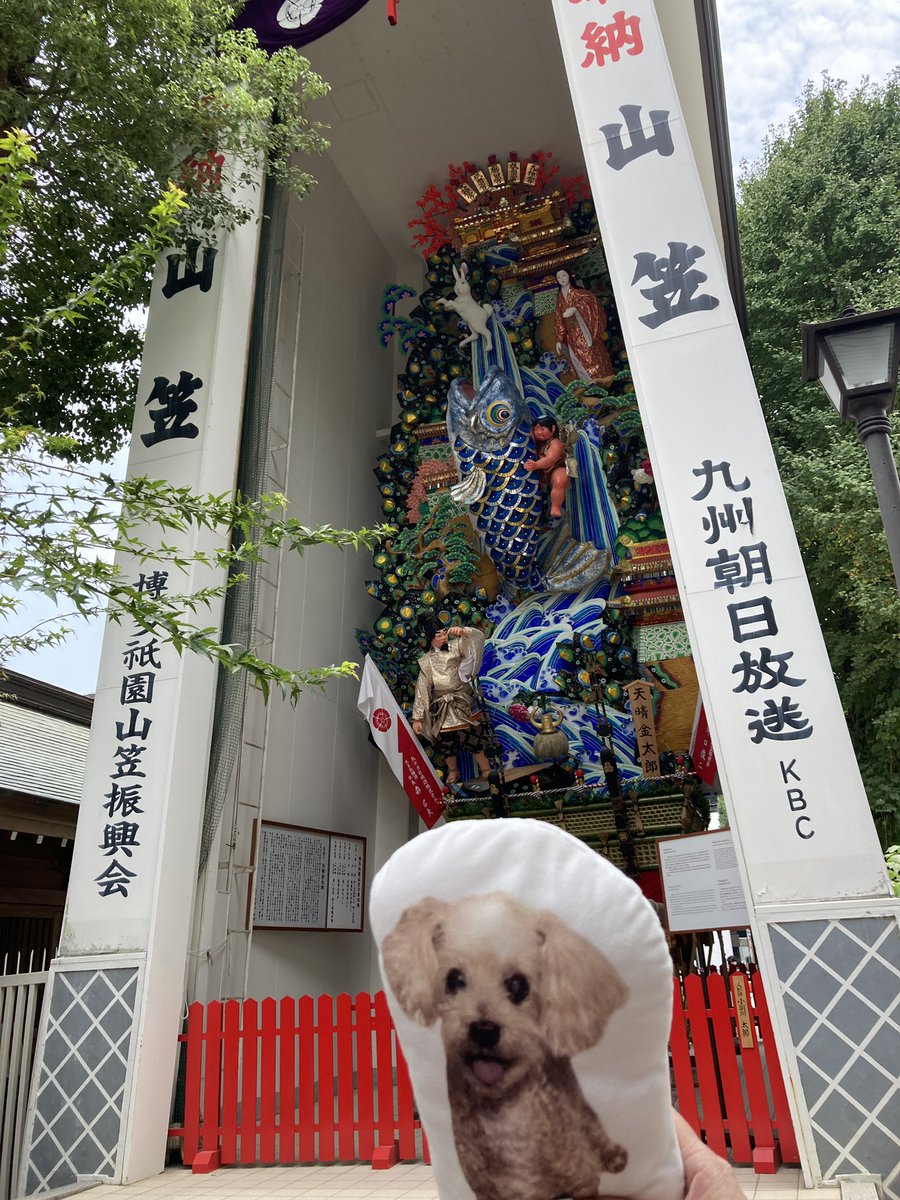 puriyango's tweet photo. 九州旅行最終日は南蔵院と櫛田神社と中洲をウロウロしたでち〜🐶
南蔵院で凄く大きな大仏様と会ってきたでちよ😳

ぷりん🐶🍮
#しっぽ会
#秘密結社老犬倶楽部天国支部 https://t.co/JY0CH4vTM7