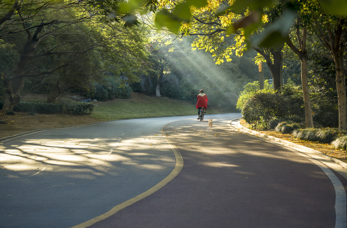 ReeseLinnic's tweet photo. Cuida tu cuerpo con 30 minutos de caminata diaria: mejora tu corazón, reduce el estrés y siente energía nueva. Empieza hoy! https://t.co/dRLUcK14f3