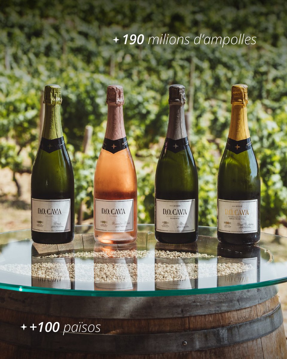 DO_Cava's tweet photo. It’s more than a bottle.🍾
Each Cava carries the story of the land, the families who care for it, and the patience of generations.
In every bubble, the vineyard’s tradition and heart come alive.
#DoCava #CavaWithSoul #TraditionInEveryBubble #FromVineToLife https://t.co/R17kl2pFKD