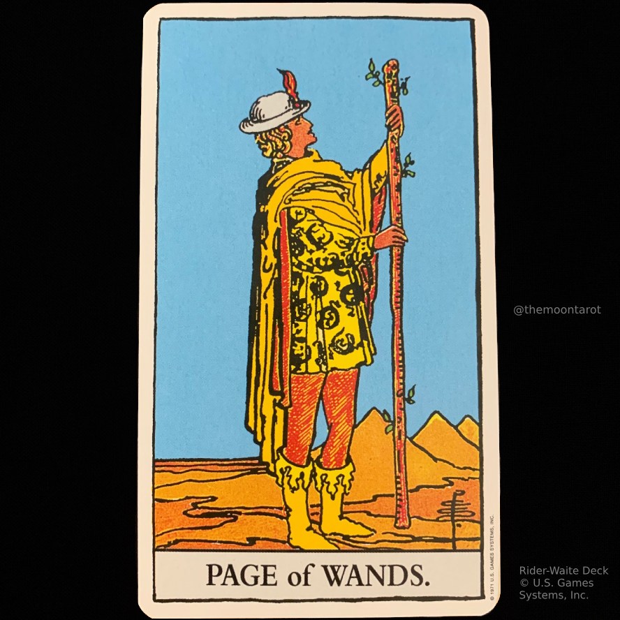 themoontarot_ tweet picture