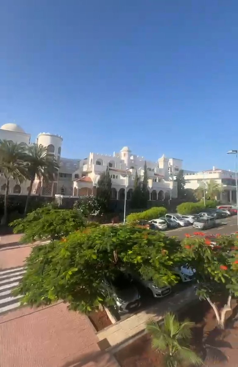 A_IM1994's tweet photo. 🌴 https://t.co/ju7BB0jW5Y