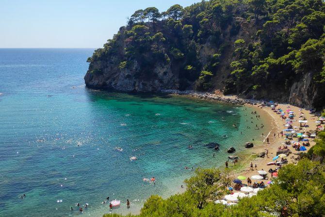 guardiacivil's tweet photo. 🏖️🟣 Además de las banderas de baño, algunas playas cuentan con bandera morada.

Su presencia puede alertar de medusas, contaminación biológica u otros riesgos para la salud.

Antes de bañarte:

🏳️ Observa la señalización.
👮 Sigue las indicaciones del personal de socorrismo.
🌊 Respeta siempre las banderas.

Informarte también es protegerte.

#PlayasSeguras #VeranoSeguro
