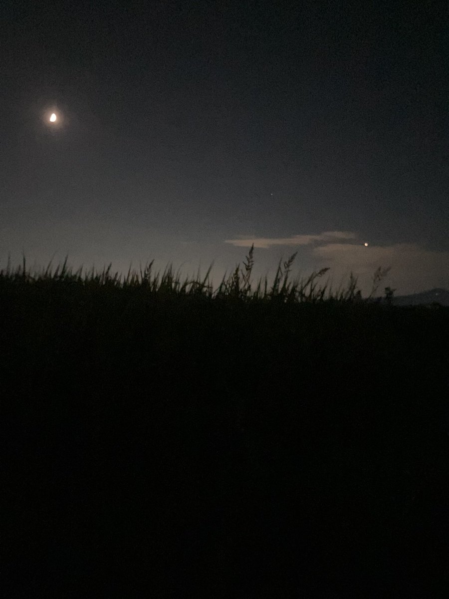 tomo8703's tweet photo. 『宿る』を聴きながらの夜散歩。
おかしくなりそうです、良い意味で。 https://t.co/y7HJ3LKciC